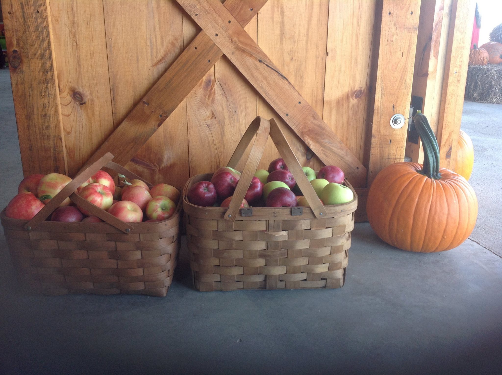 Baskets of Red Delicious, Golden Delicious, Honey Crisp, Macoun, McIntosh Apples and a big pumpkin at Fix Bros. Fruit Farm, Hudson, New York