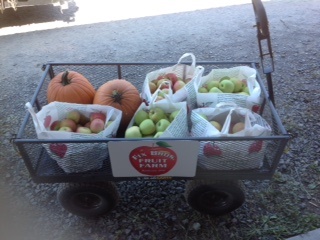 Apples and Pumpkins from Fix Bros Fruit Farm, Hudson, New York