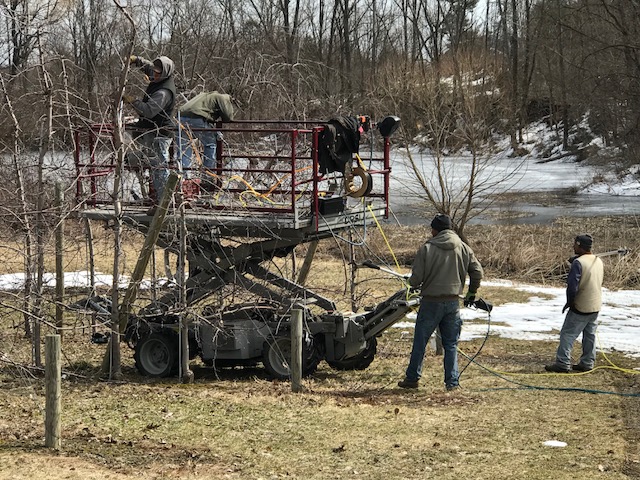 Guys working to prune trees in the orchard pruning trees at Fix Bros. Fruit Farm, Hudson, New York