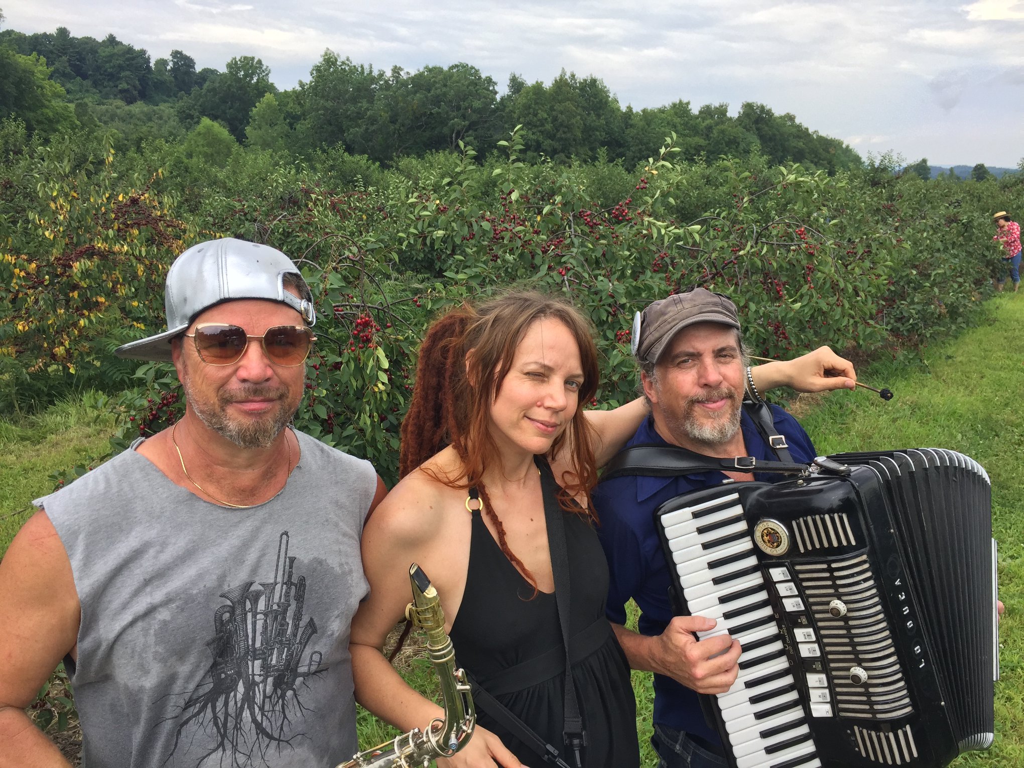 band Fix bros fruit farm, hudson ny, band at black sour cherries